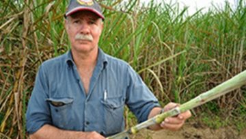 Irrigation and Drainage Management - #2