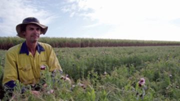 Soil Health and Plant Nutrition