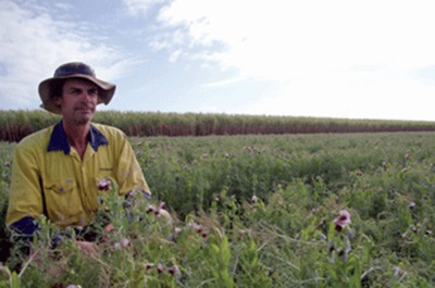 Soil Health and Plant Nutrition