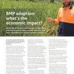 What's the economic impact of Smartcane BMP?