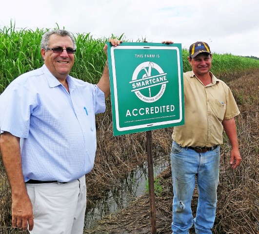 Milestone planting in a Mackay cane field